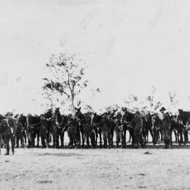 Jandowae Troop of the 11th Light Horse Regiment standing beside their horses, 1929
