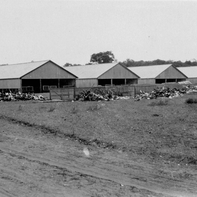 Commonwealth Prickly Pear Field Station