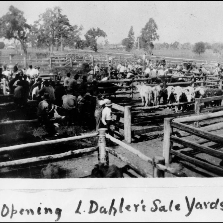Dahler's Saleyards