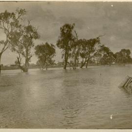 Myall Creek in flood, Dalby, 1917