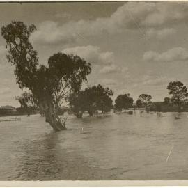 Major flood of Myall Creek, Dalby, 1917
