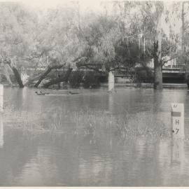 Flooding at Charles Drew Bridge, Dalby, 1983