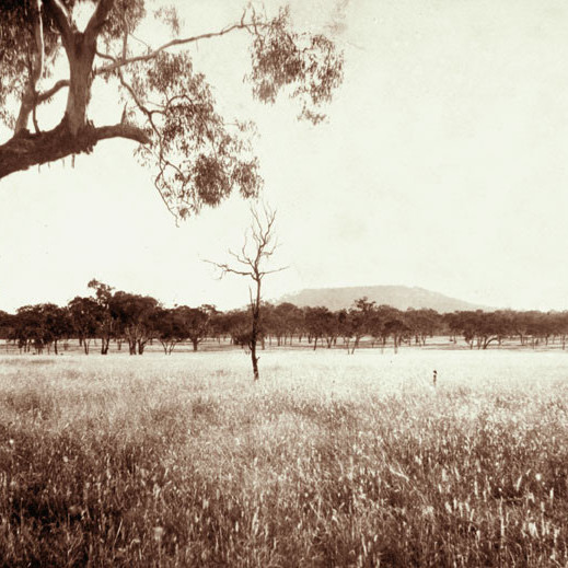 Jimbour Station
