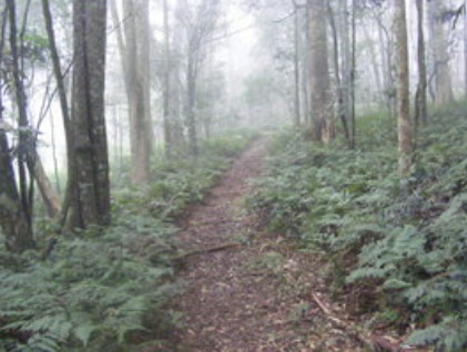 Russell Park