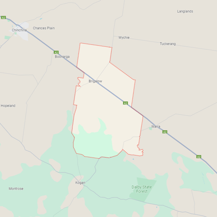 Brigalow