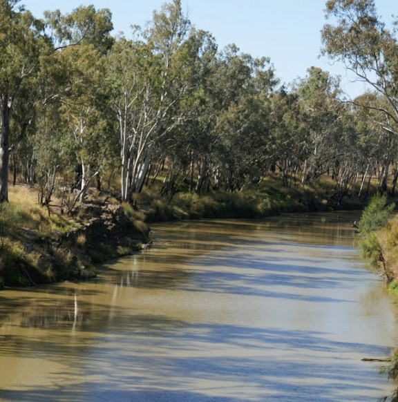 Condamine River