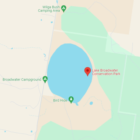 Lake Broadwater Conservation Park