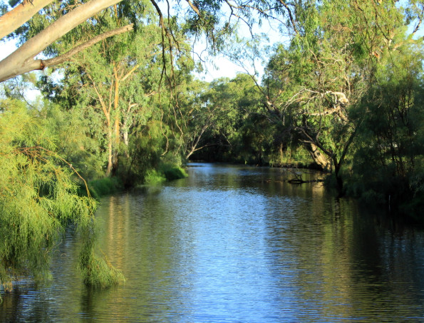 Myall Creek