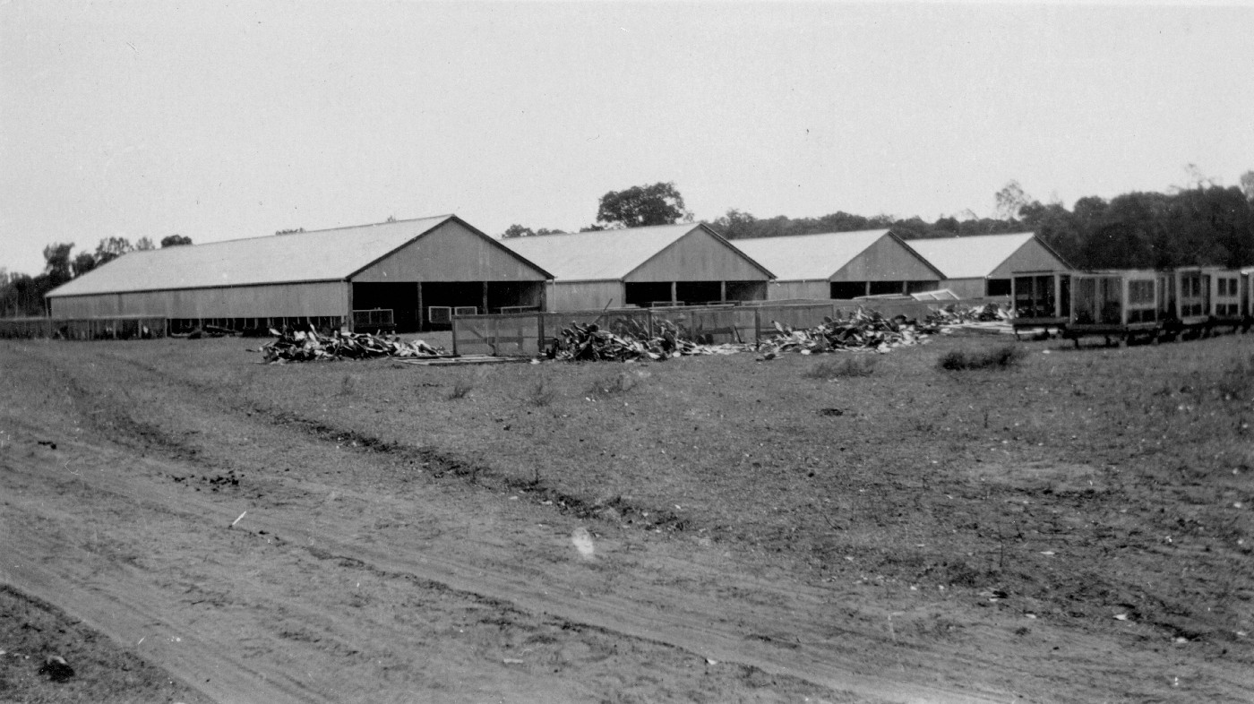 Commonwealth Prickly Pear Field Station