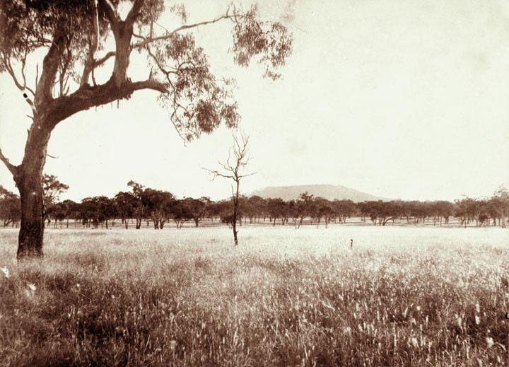 Jimbour Station